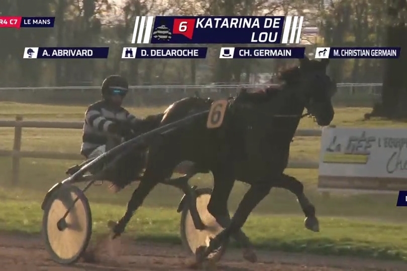 KATARINA DE LOU (Goetmals wood-Selecao de Lou)...