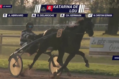 KATARINA DE LOU (Goetmals wood-Selecao de Lou)...