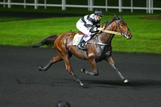 CARIOCA DE LOU (Jag de Bellouet-Lola de Lou)...