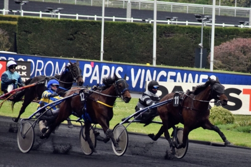 KATARINA DE LOU (Goetmals wood-Selecao de Lou)...ILLICO...