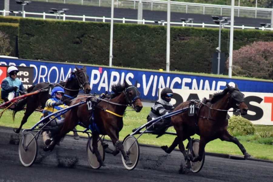 KATARINA DE LOU (Goetmals wood-Selecao de Lou)...ILLICO DE LOU (Real de Lou- Buenavista de Lou)