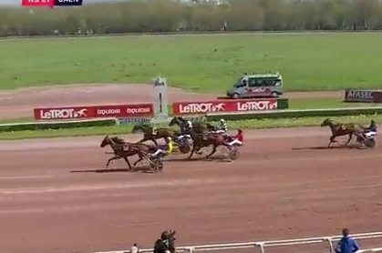 JUNON DE LOU (Real de Lou-Saba du vivier)...