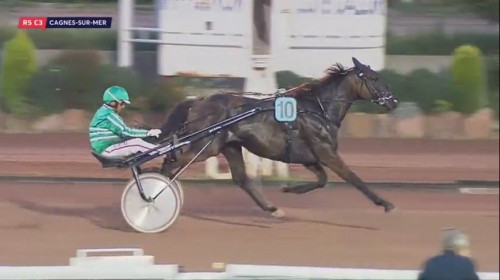 EL MAGNIFICO DE LOU (Prodigious-Prima Dona de Lou)