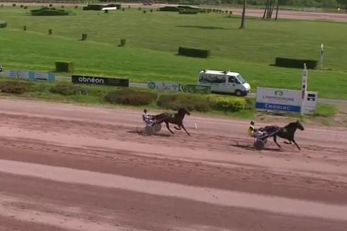 KOZIELLO DE LOU (Real de Lou-Delmonica de Lou)...