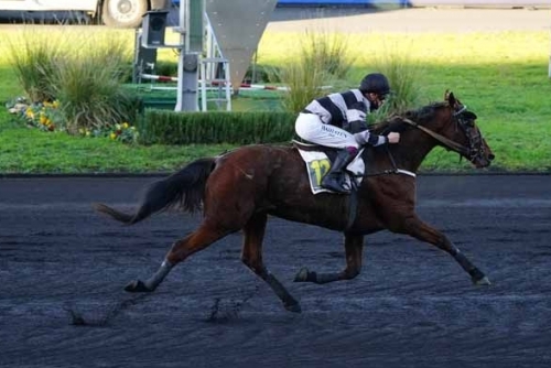 CARIOCA DE LOU (Jag de Bellouet-Lola de Lou)...