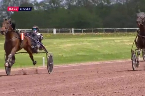 .JIDI DE LOU ( Timoko - Bellissima de Lou).