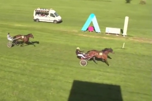 JUNINA DE LOU ( Sam bourbon-Lola de Lou)...