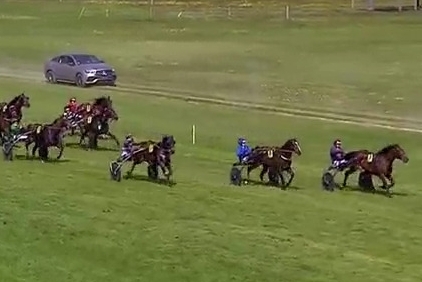 GAZETTA DE LOU ( Real de Lou- Noisette d'argence)...