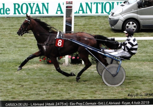CARIOCA DE LOU (Jag de bellouet-Lola de Lou)