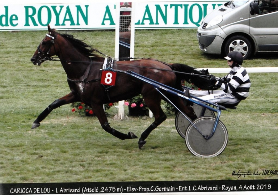 CARIOCA DE LOU (Jag de bellouet-Lola de Lou)