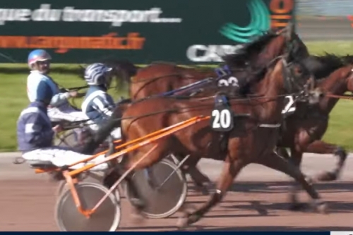 LIBERO DE LOU (Un mec d'héripré-Ginga de Lou)...