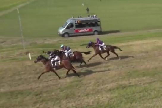 FINE DU COLOMBIER (Real de Lou - Treizième rue)