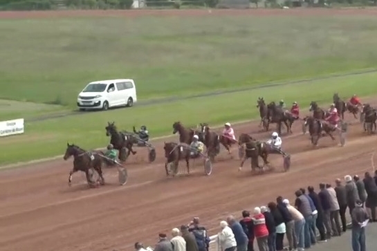 HENRIQUE DE LOU (Real de Lou-Star de Tembia)...