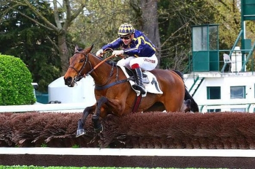 LOU FAST (Rajsaman-Lou wonderful) ...