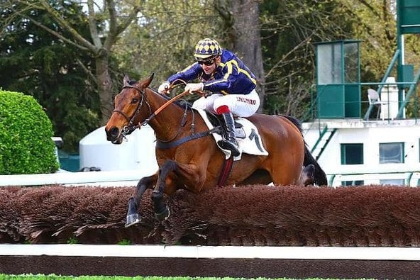 LOU FAST (Rajsaman-Lou wonderful) ...