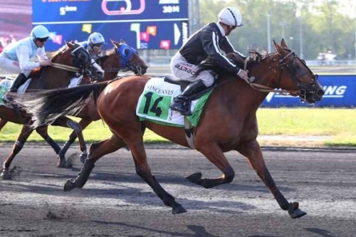 ILLICO DE LOU (Real de Lou- Buena vista deLou)...