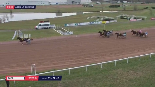 FALCO SACHA (Real de Lou-Nostalgique Sacha)