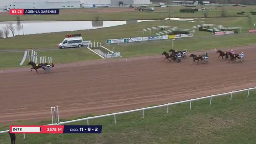 FALCO SACHA (Real de Lou-Nostalgique Sacha)