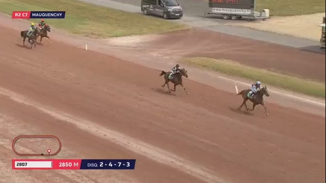 ERMINE DU LUDE (Real de Lou-Reine des Sables)