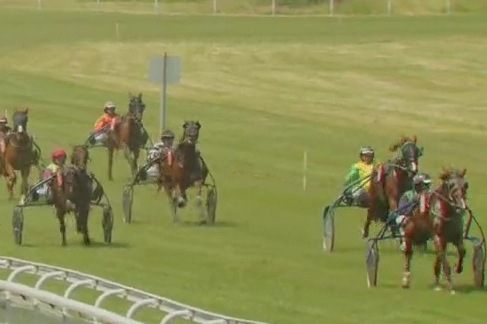 JUNINHO DE LOU (Eridan-Carmensita de Lou)