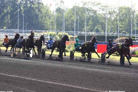 KOZIELLO DE LOU (Real de Lou-Delmonica de Lou) ...