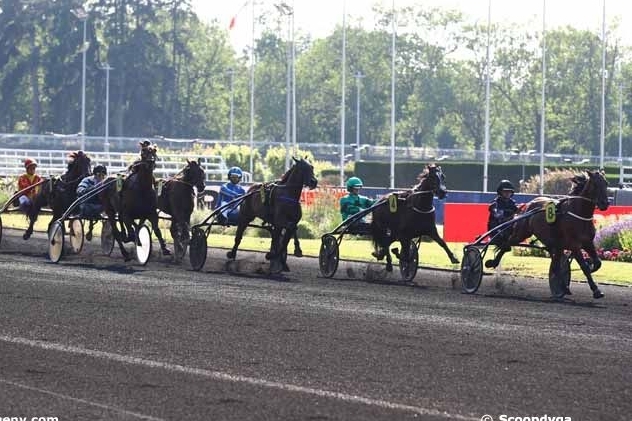 KOZIELLO DE LOU (Real de Lou-Delmonica de Lou) ...