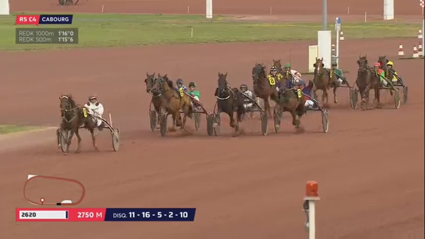 FOREST DEVIL (Real de Lou-Miss de Guez)