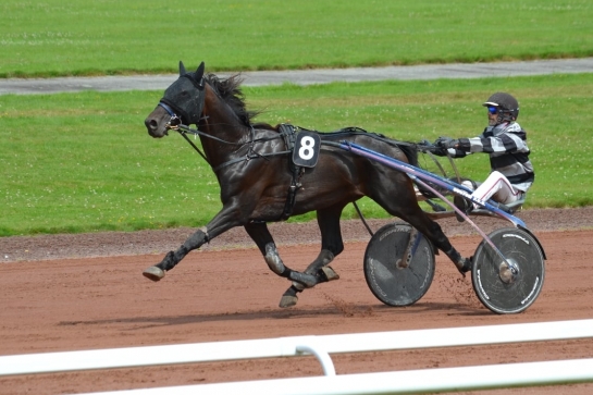 HENRIQUE DE LOU (Real de Lou-Star de Tembia)...