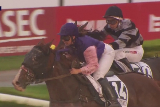 HENRIQUE DE LOU (Real de Lou-Star de Tembia)...