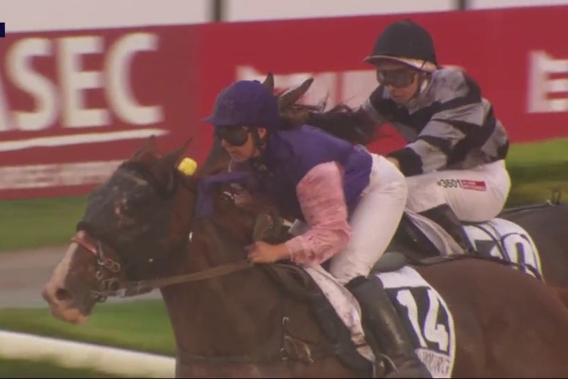 HENRIQUE DE LOU (Real de Lou-Star de Tembia)...