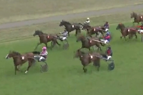 JUST GIGOLO DE LOU (Un amour d'haufor - Sierra de Lou)..