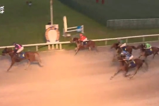 KEMPES DE LOU ( Carat williams-Riviera de Lou).