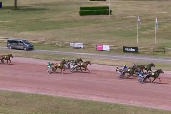 JOKO DE LOU (Real de Lou- Carla de Lou)