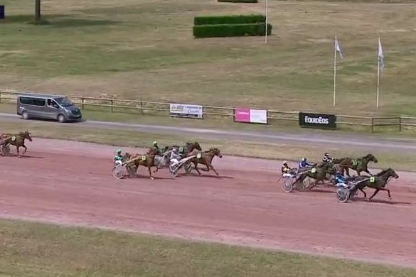 JOKO DE LOU (Real de Lou- Carla de Lou)