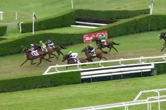 .HENRIQUE DE LOU (Real de lou-Star de Tembia)..