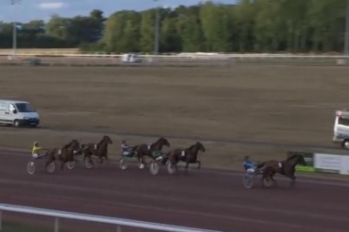 JUST GIGOLO DE LOU (Un amour d'haufor- Sierra de Lou)