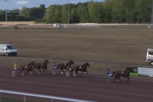 JUST GIGOLO DE LOU (Un amour d'haufor- Sierra de Lou)