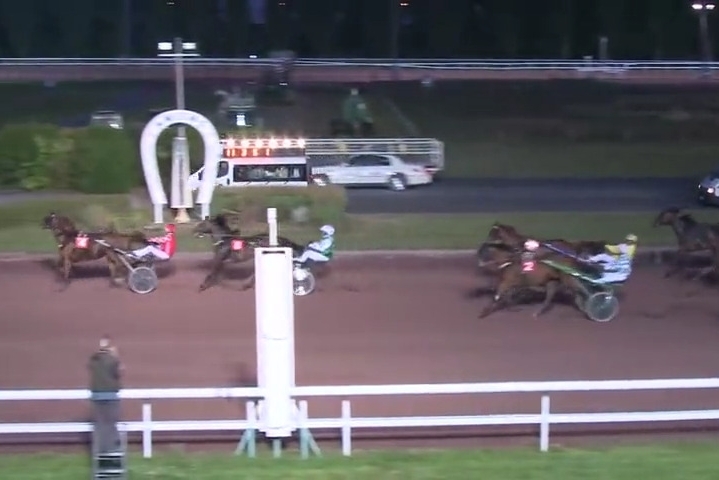 KING GEORGES ELLIS (Bold eagle-Volvoreta de Lou) ...