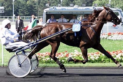 GIESOLO DE LOU (Biesolo - Aostane) vainqeur du HUGO ABERS MEMORIAL (Gr1) en 2001 à Jagersro