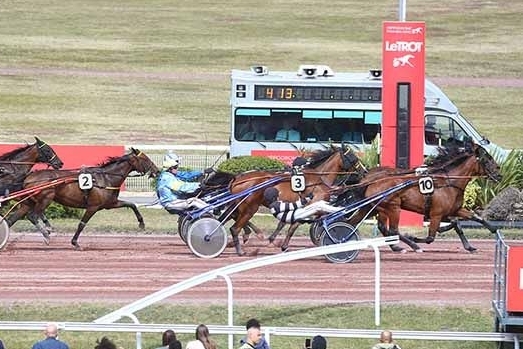 JUNON DE LOU (Real de Lou-Saba du vivier)...