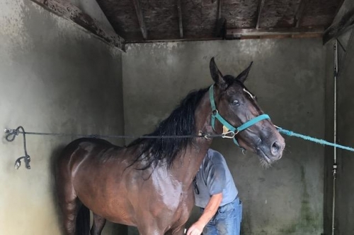 QUALIFICATIONS au Mans...