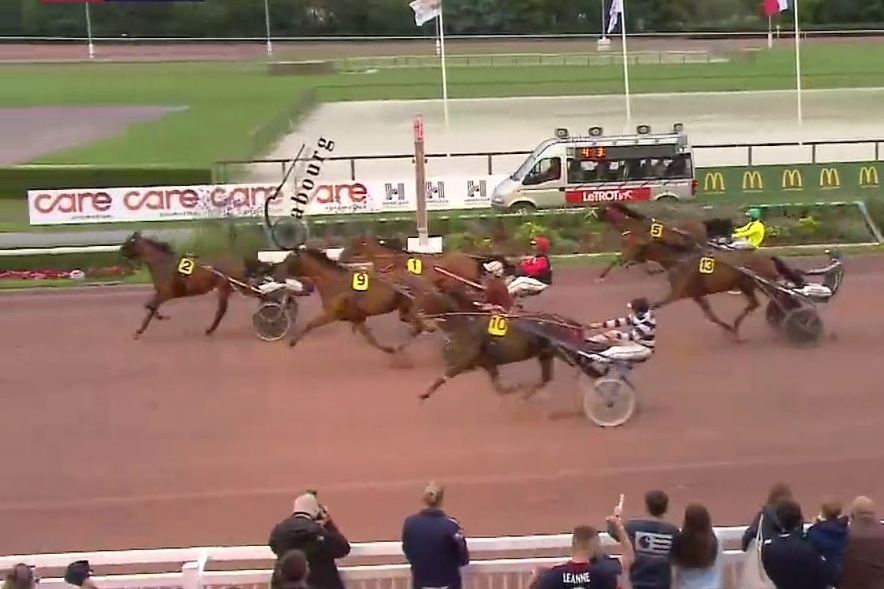 JAMAICA DE LOU (Real de Lou-Unora de Lou)