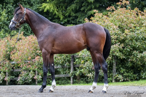 MARIO DE LOU (Un amour d'haufor-Sierra de Lou)