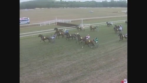 FILHIO DE LOU (Prodigious-Lola de Lou)