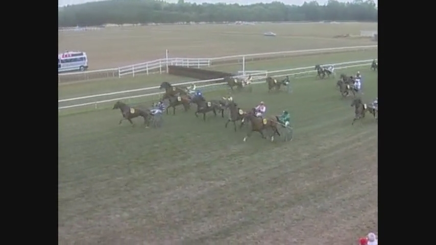 FILHIO DE LOU (Prodigious-Lola de Lou)