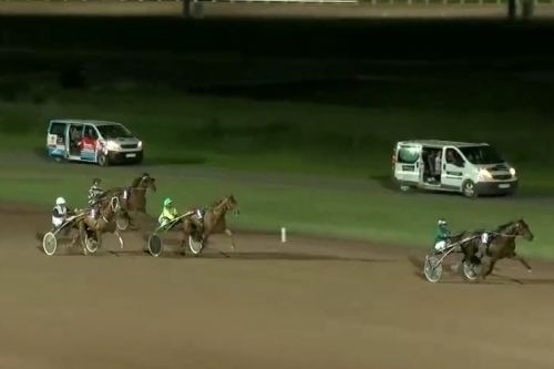 JULIANO DE LOU ( Titan d'occagnes-Amarena de lou)