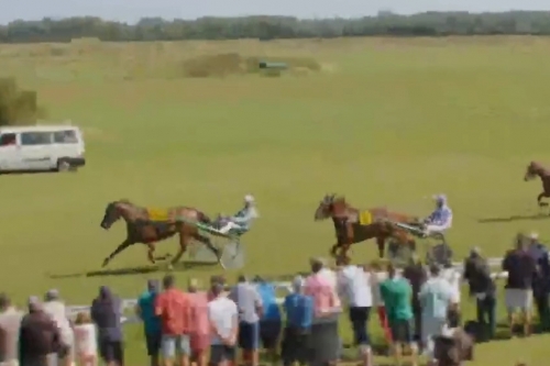 KING GEORGES ELLIS  (Bold eagle- Volvoreta Lou)