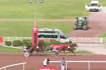 KOZIELLO DE LOU ( Real de Lou- Delmonica de Lou)...