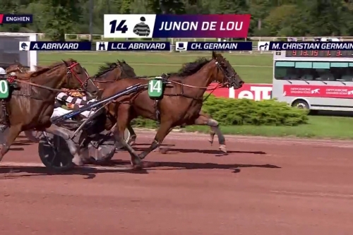 JUNON DE LOU (Real de Lou-Saba du vivier)