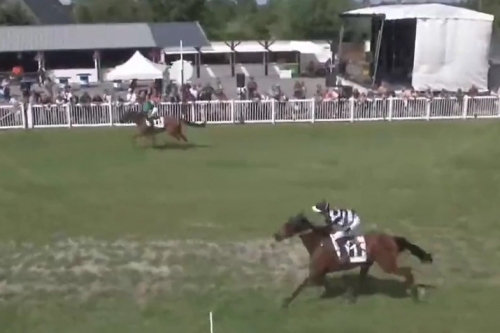 JUST GIGOLO DE LOU ( Un amour d'haufor- Sierra de Lou)